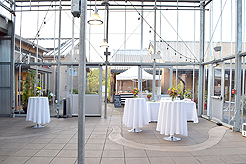 SPRING HAS SPRUNG BAT MITZVAH